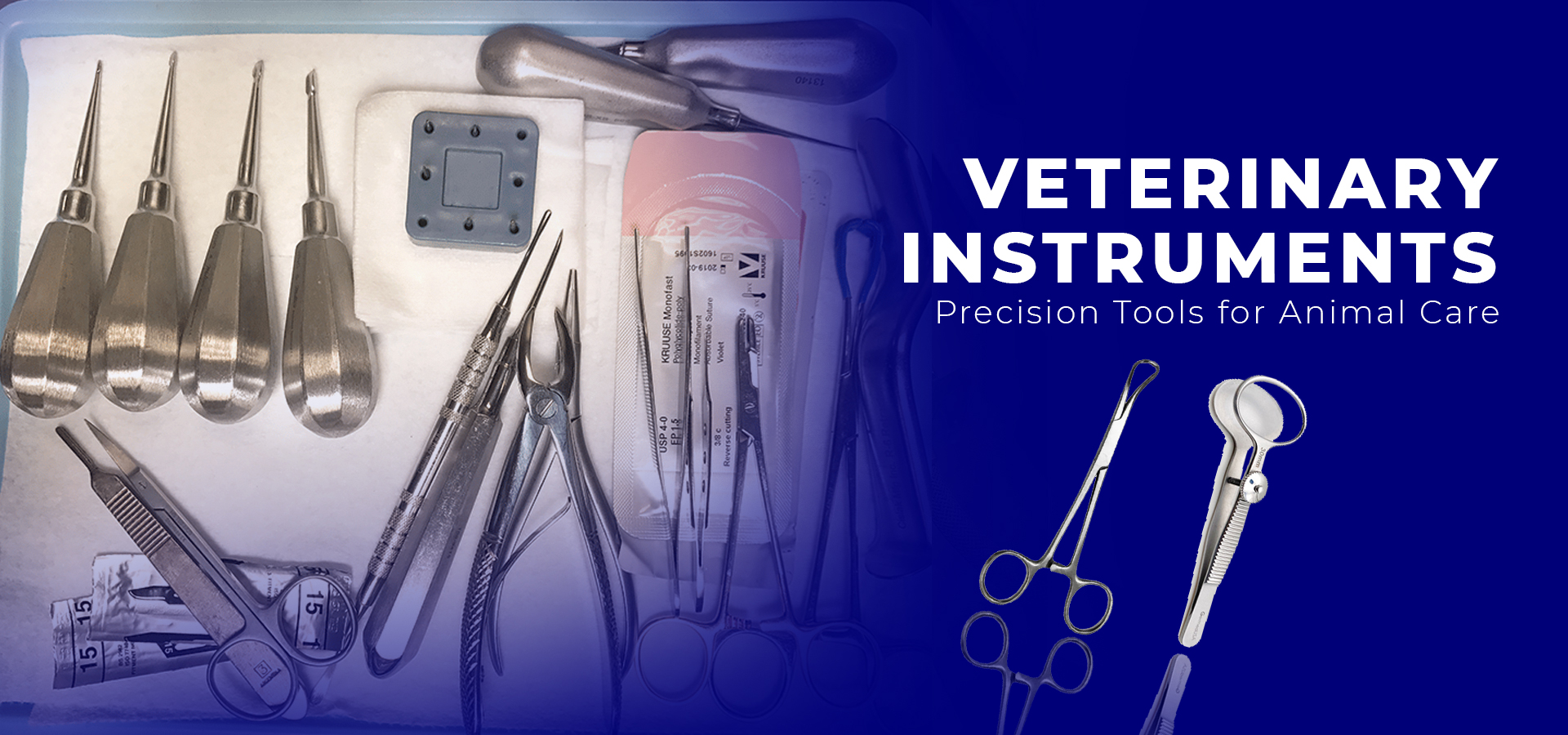 vet